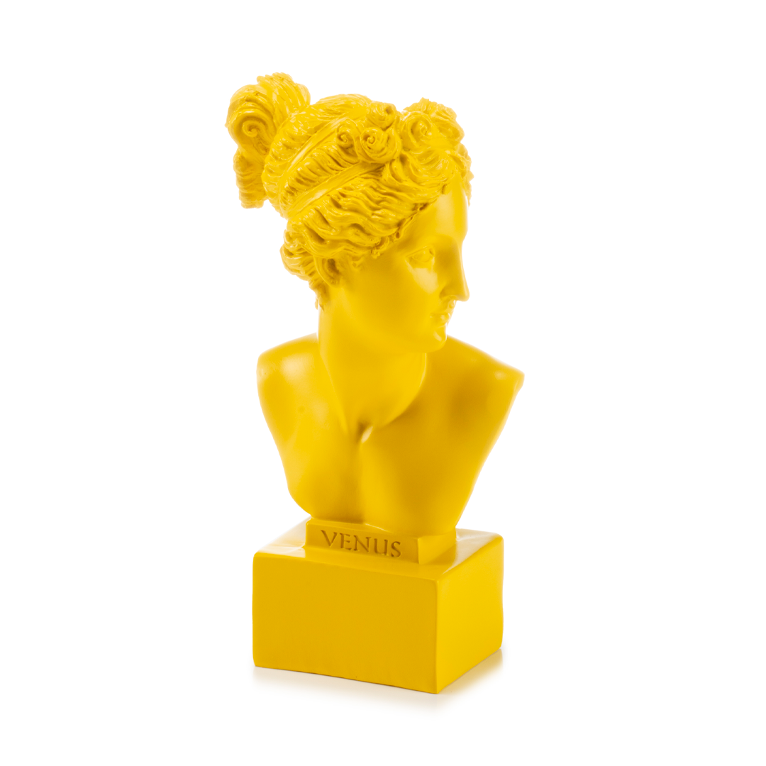 Scultura Busto Davide Palais Royal in resina bianca 19 cm