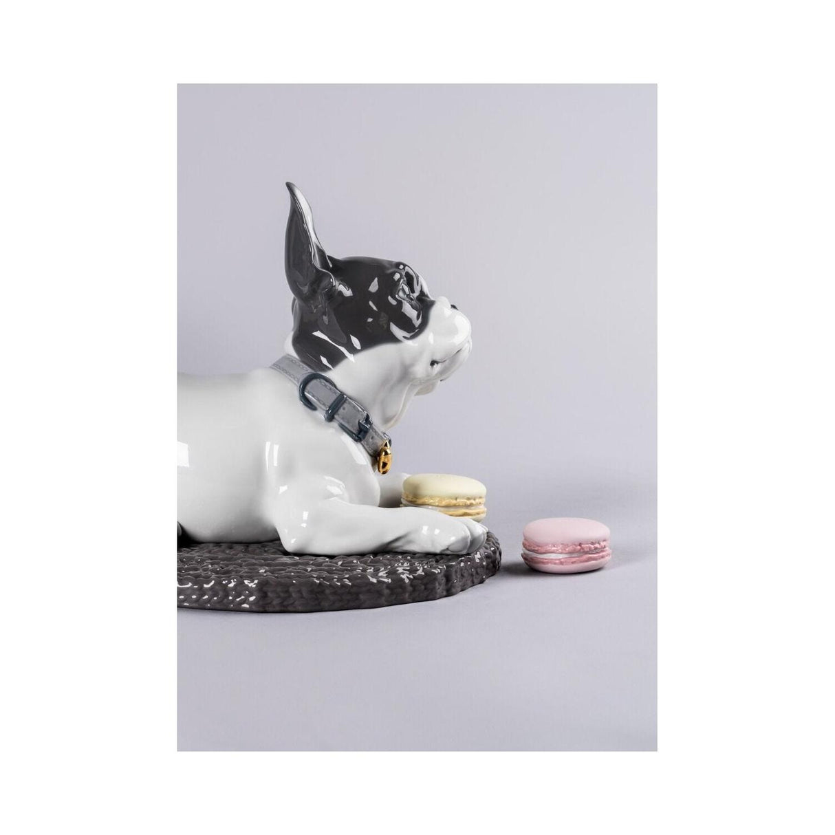 LLADRO' Bulldog Francese con Macarons 24x29cm Porcellana