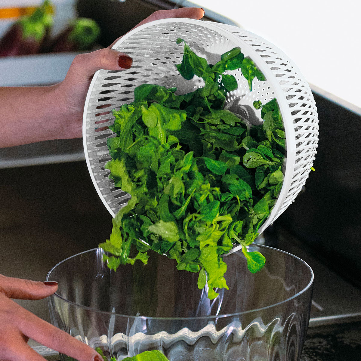 GUZZINI Preparation Centrifuga per Insalata Spin&Store 5L Bianco in Plastica