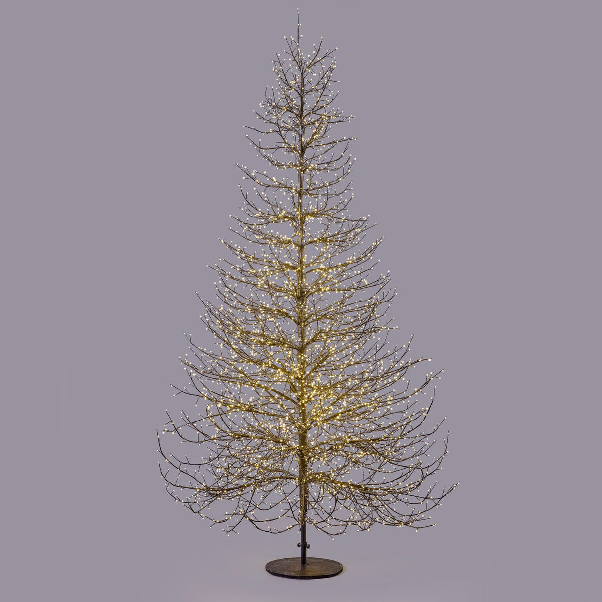 EDG Enzo De Gasperi Faggio Luminoso Natalizio Rich Nero 6590 MicroLED 300x180cm