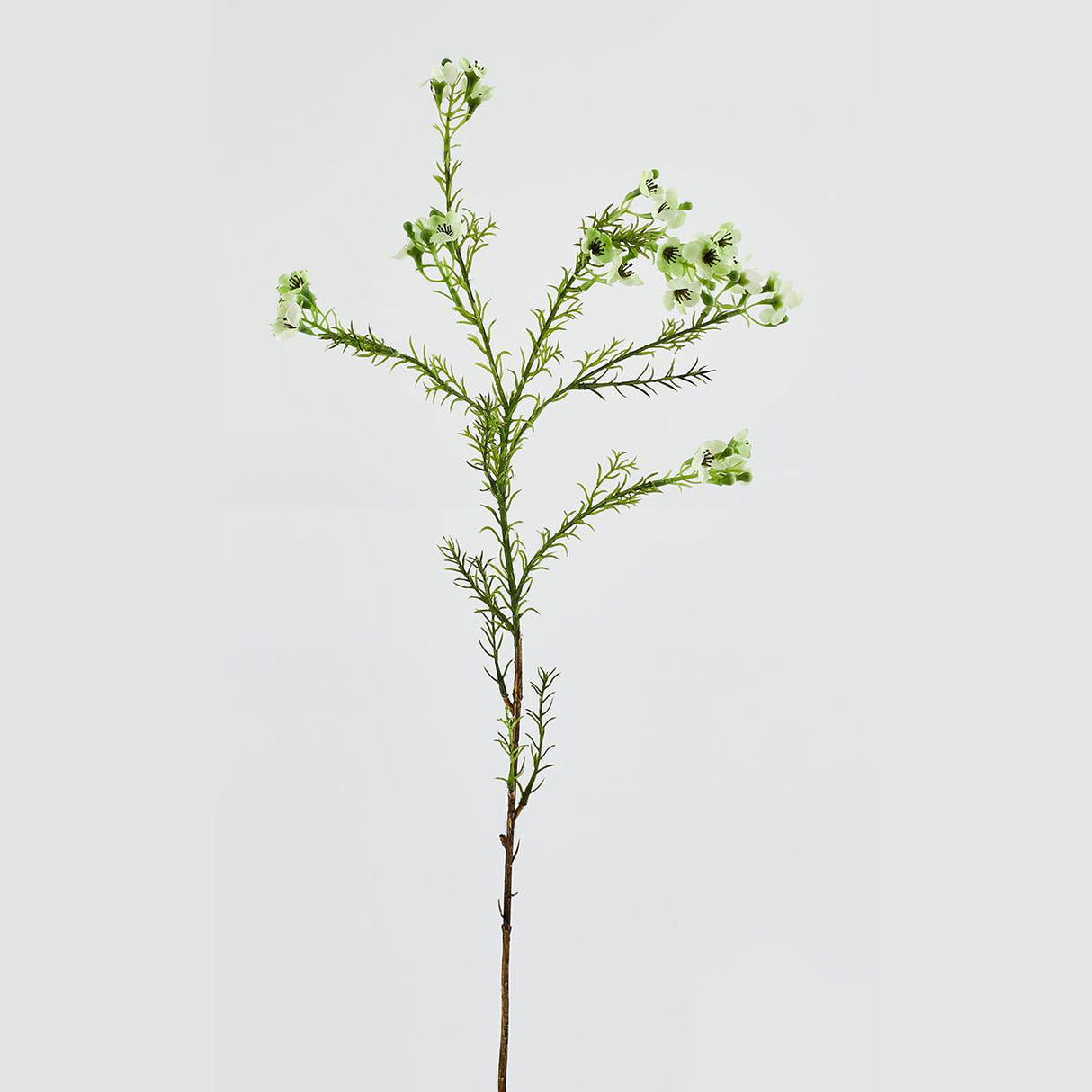 Ramo di Plumaggine EDG in materiale sintetico verde 67 cm