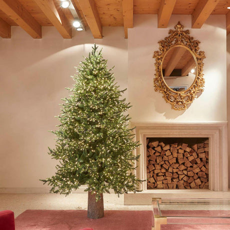 Alberi di Natale EDG