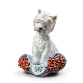Statuetta cane Westie Lladrò in porcellana lucida 12x9x10 cm