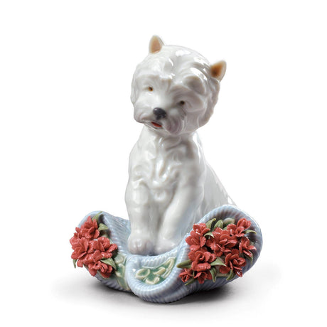 Statuetta cane Westie Lladrò in porcellana lucida 12x9x10 cm
