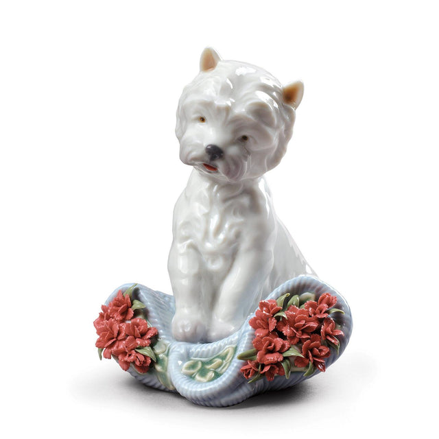 Statuetta cane Westie Lladrò in porcellana lucida 12x9x10 cm