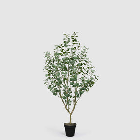 Pianta eucalipto artificiale EDG con vaso Vogue altezza 190 cm