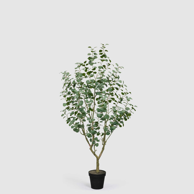 Pianta eucalipto artificiale EDG con vaso Vogue altezza 190 cm