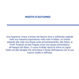 HYPNO CASA - Profumatore Diffusore con Bastoncini Mosto D'Autunno Eco 250ml
