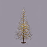 EDG Enzo De Gasperi Faggio Rich Albero di Natale con 2690 Microled 210x130cm Nero