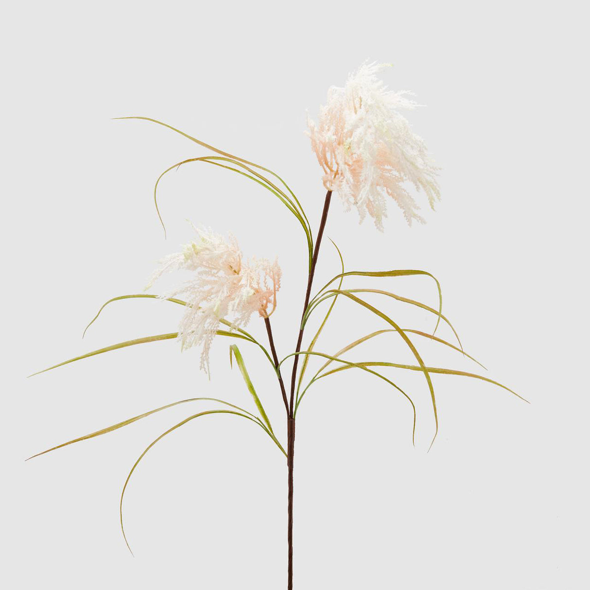 Ramo di Pampas EDG in materiale sintetico color rosa crema 120 cm