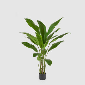 Pianta Strelitzia artificiale EDG in materiale sintetico altezza 155 cm