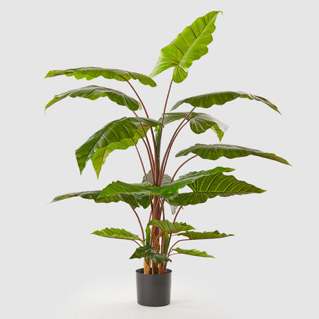 Pianta artificiale Alocasia EDG in materiale sintetico 170 cm