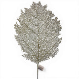 Foglia brillantata gorgonia