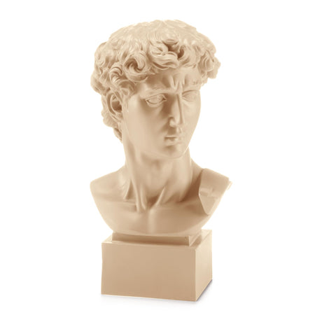 Busto David di Michelangelo Palais Royal in resina beige 50 cm