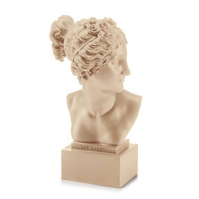 Busto Venere Palais Royal in resina beige 18 cm decorazione moderna