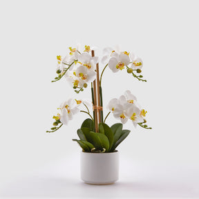 Orchidea Phalaenopsis EDG in materiale sintetico bianco 38 cm