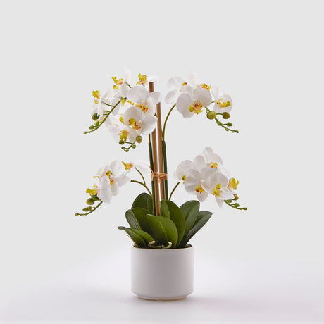 Orchidea Phalaenopsis EDG in materiale sintetico bianco 38 cm