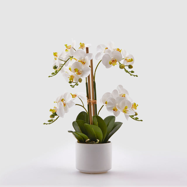 Orchidea Phalaenopsis EDG in materiale sintetico bianco 38 cm