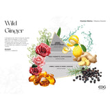 EDG Enzo De Gasperi Profumatore Diffusore con Bastoncini Bottiglia Classic 500ml Rosso Wild Ginger