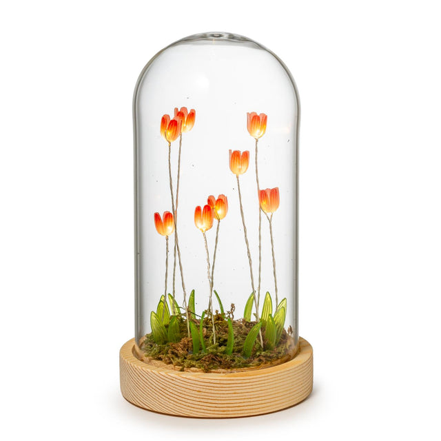 Cupola con fiori e LED Palais Royal in vetro e base legno 9x17 cm