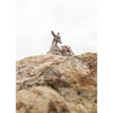 LLADRO' Figurina Bambi 15x19cm Porcellana
