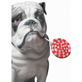 LLADRO' Figurina Cane Bulldog con Leccalecca 33x33cm Porcellana
