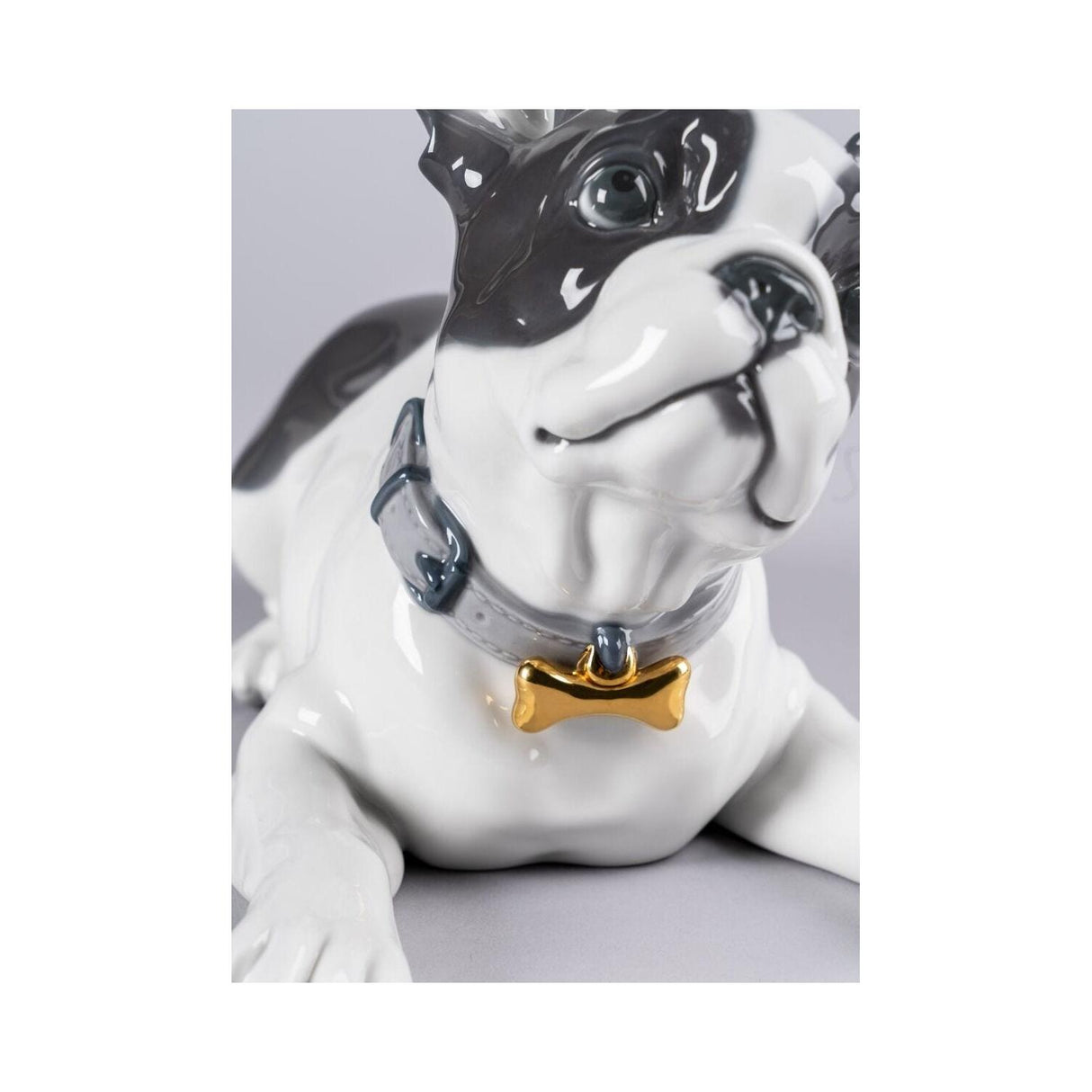 LLADRO' Bulldog Francese con Macarons 24x29cm Porcellana