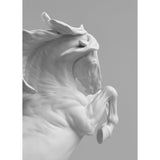 LLADRO' Scultura Cavallo Spirito Indomabile 50x36cm Porcellana