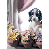 LLADRO' Figurina Cani Finestra Fiorita 21x18cm Porcellana