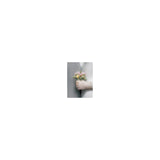 LLADRO' Figurina Coppia Un Bacio da Ricordare 19x12cm Porcellana