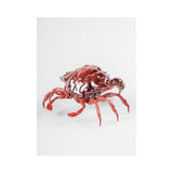 LLADRO' Scultura Granchio Rosso 14x28cm Porcellana