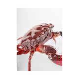 LLADRO' Scultura Granchio Rosso 14x28cm Porcellana