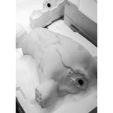 LLADRO' Scultura Eternal Fluidity Uomo 32x30cm Porcellana