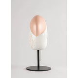 LLADRO' Face 2 Face Tucano 29x23cm Porcellana