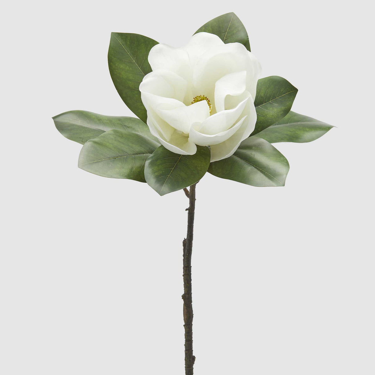 Ramo Magnolia artificiale EDG in tessuto bianco 70 cm
