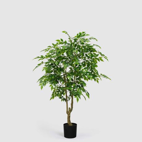 Ficus Benjamin artificiale EDG con foglie realistiche e vaso Vogue 156 cm