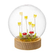 Sfera in vetro Palais Royal con fiori e LED su base in legno 12 cm