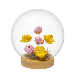 Sfera in vetro Palais Royal con rose e LED su base in legno 15 cm