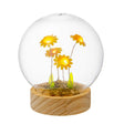 Sfera con girasoli Palais Royal in vetro 12 cm con base LED in legno