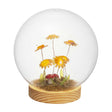 Sfera con girasoli Palais Royal in vetro trasparente con base LED 15 cm