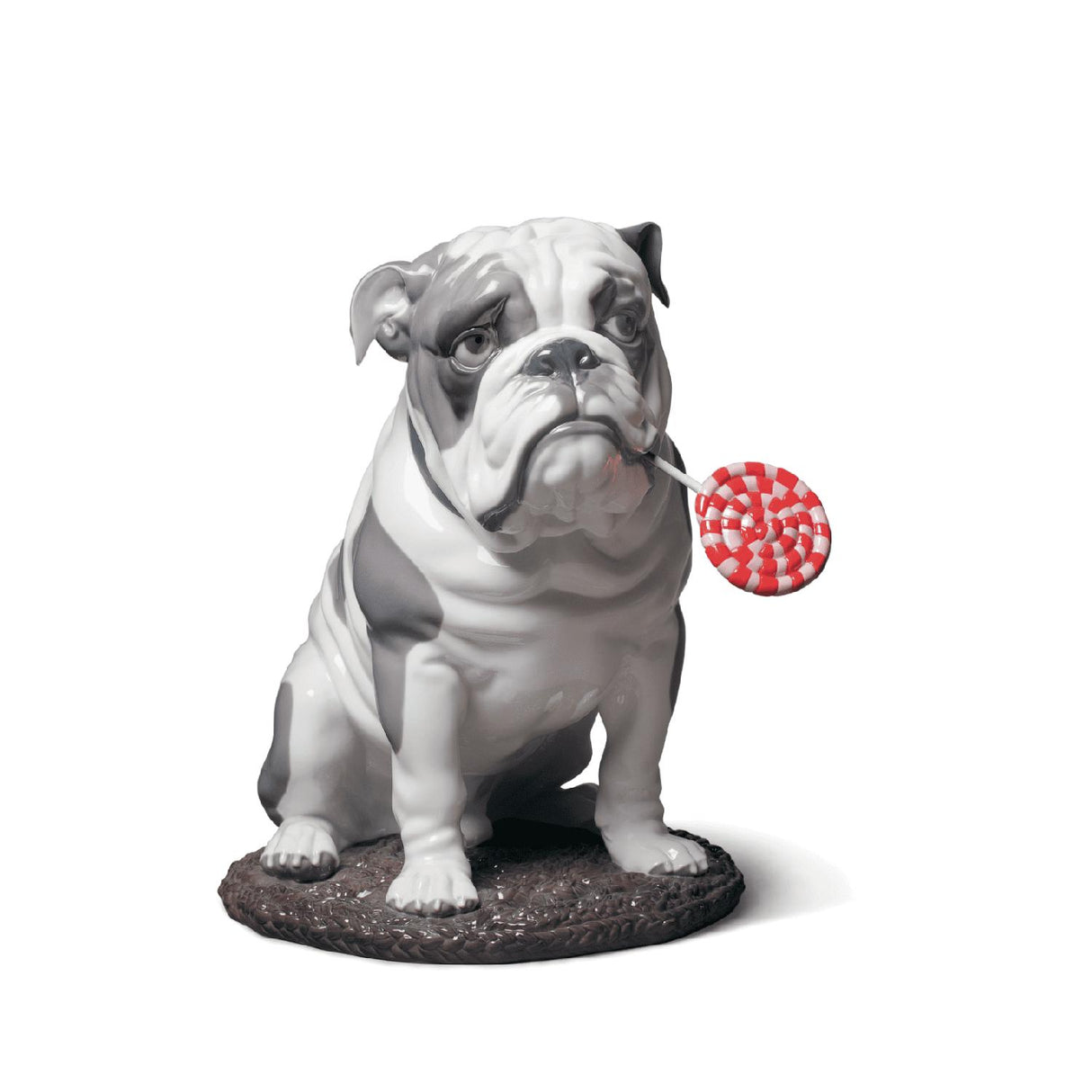 Statuina Bulldog con leccalecca Lladrò in porcellana decorata 33x33 cm