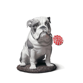 Statuina Bulldog con leccalecca Lladrò in porcellana decorata 33x33 cm