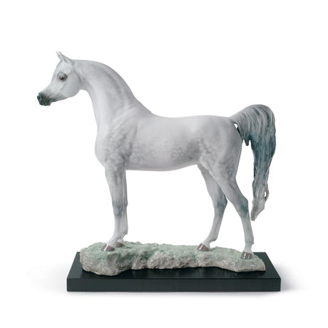 Cavallo Pura Razza Araba Lladrò in porcellana lucida grigia 44x46 cm