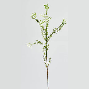 Ramo di Plumaggine EDG in materiale sintetico verde 67 cm