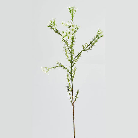 Ramo di Plumaggine EDG in materiale sintetico verde 67 cm