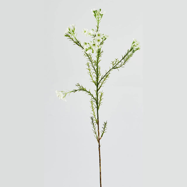 Ramo di Plumaggine EDG in materiale sintetico verde 67 cm