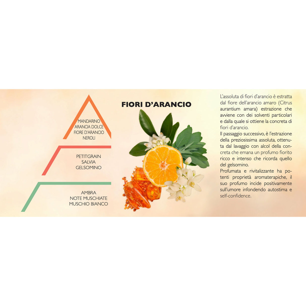 HYPNO CASA Diffuser with Orange Flower Sticks Absolute 100ml