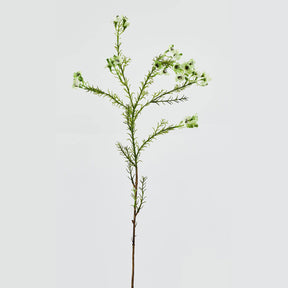 Ramo di Plumaggine EDG in materiale sintetico verde 67 cm