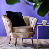 WERNS Armchair Shell Audrey Champagne 82x75x79cm Velvet