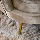 WERNS Armchair Shell Audrey Champagne 82x75x79cm Velvet